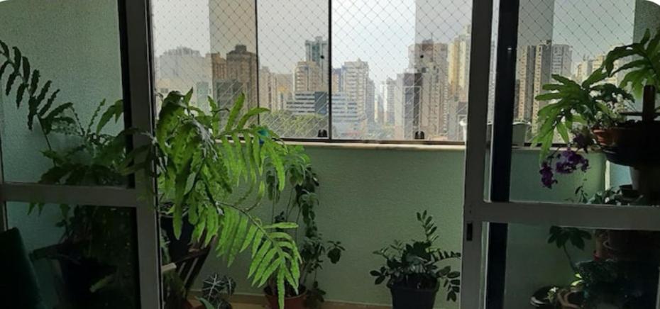 Pronto Para Voce! Homestay Brasilia